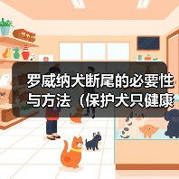 罗威纳犬断尾的必要性与方法(保护犬只健康的重要举措及手术技术探讨)(图1) 罗威纳犬断尾的必要性与方法(保护犬只健康的重要举措及手术技术探讨)(图1)