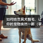 如何给贵宾犬剪毛,让你的宠物焕然一新(掌握正确的技巧,让贵宾犬毛发亮丽有型)(图4) 如何给贵宾犬剪毛,让你的宠物焕然一新(掌握正确的技巧,让贵宾犬毛发亮丽有型)(图4)