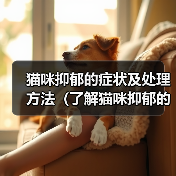 猫咪抑郁的症状及处理方法(了解猫咪抑郁的迹象,保持它们的幸福)(图2) 猫咪抑郁的症状及处理方法(了解猫咪抑郁的迹象,保持它们的幸福)(图2)