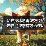 幼猫拉稀急需见效快的药物(探索有效治疗幼猫拉稀的药物,提供安全快速的解决方案)(图4) 幼猫拉稀急需见效快的药物(探索有效治疗幼猫拉稀的药物,提供安全快速的解决方案)(图4)