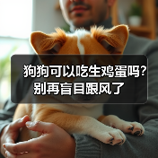 狗狗可以吃生鸡蛋吗?别再盲目跟风了(图2) 狗狗可以吃生鸡蛋吗?别再盲目跟风了(图2)