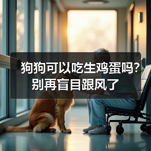 狗狗可以吃生鸡蛋吗?别再盲目跟风了(图3) 狗狗可以吃生鸡蛋吗?别再盲目跟风了(图3)