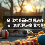 金毛犬毛卷问题解决办法(如何解决金毛犬毛卷问题)(图1) 金毛犬毛卷问题解决办法(如何解决金毛犬毛卷问题)(图1)