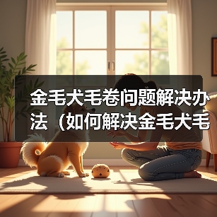 金毛犬毛卷问题解决办法(如何解决金毛犬毛卷问题)(图3) 金毛犬毛卷问题解决办法(如何解决金毛犬毛卷问题)(图3)