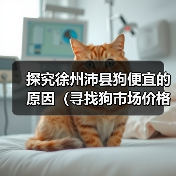 探究徐州沛县狗便宜的原因（寻找狗市场价格低的秘密与真相）（图3）