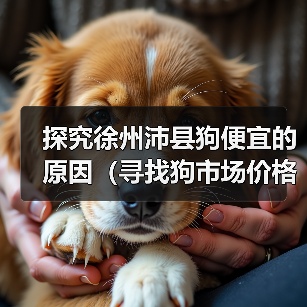 探究徐州沛县狗便宜的原因（寻找狗市场价格低的秘密与真相）（图2）