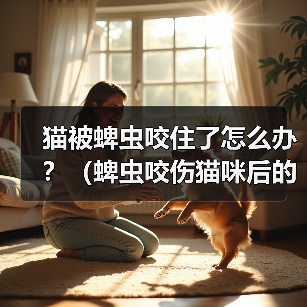 猫被蜱虫咬住了怎么办？（蜱虫咬伤猫咪后的应对措施）（图2）