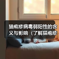 猫疱疹病毒弱阳性的含义与影响(了解猫疱疹病毒的弱阳性测试结果和相关预防措施)(图3) 猫疱疹病毒弱阳性的含义与影响(了解猫疱疹病毒的弱阳性测试结果和相关预防措施)(图3)