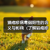 猫疱疹病毒弱阳性的含义与影响(了解猫疱疹病毒的弱阳性测试结果和相关预防措施)(图1) 猫疱疹病毒弱阳性的含义与影响(了解猫疱疹病毒的弱阳性测试结果和相关预防措施)(图1)