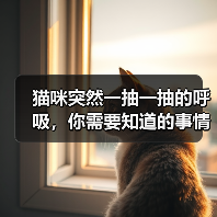 猫咪突然一抽一抽的呼吸，你需要知道的事情（探索猫咪呼吸异常的原因与处理方法）（图1）