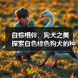 白棕相伴，狗犬之美（探索白色棕色狗犬的种类与特点）（图1）