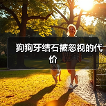 狗狗牙结石被忽视的代价（图4）