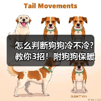 怎么判断狗狗冷不冷？教你3招！附狗狗保暖小Tips✔（图3）