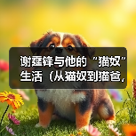 谢霆锋与他的“猫奴”生活（从猫奴到猫爸，谢霆锋与他养的猫的温馨故事）（图3）