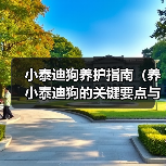 小泰迪狗养护指南(养小泰迪狗的关键要点与技巧)(图4) 小泰迪狗养护指南(养小泰迪狗的关键要点与技巧)(图4)