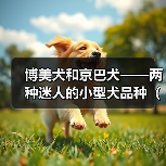 博美犬和京巴犬——两种迷人的小型犬品种(宠物犬中的明星组合,博美与京巴串串的故事与特点)(图1) 博美犬和京巴犬——两种迷人的小型犬品种(宠物犬中的明星组合,博美与京巴串串的故事与特点)(图1)