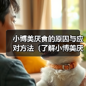 小博美厌食的原因与应对方法（了解小博美厌食的症状与治疗）（图2）