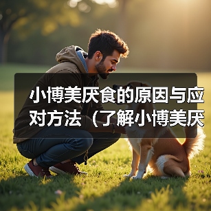 小博美厌食的原因与应对方法（了解小博美厌食的症状与治疗）（图3）