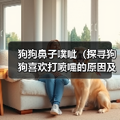 狗狗鼻子噗呲（探寻狗狗喜欢打喷嚏的原因及其影响）（图4）