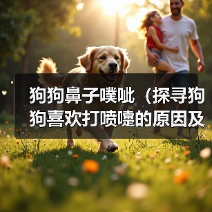 狗狗鼻子噗呲（探寻狗狗喜欢打喷嚏的原因及其影响）（图3）