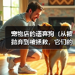 宠物店的遗弃狗(从被抛弃到被拯救,它们的无助与希望)(图4) 宠物店的遗弃狗(从被抛弃到被拯救,它们的无助与希望)(图4)