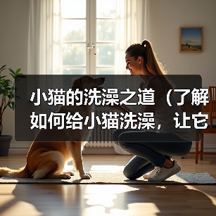 小猫的洗澡之道（了解如何给小猫洗澡，让它保持清洁与健康）（图2）
