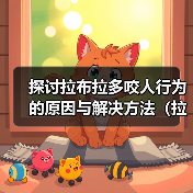 探讨拉布拉多咬人行为的原因与解决方法（拉布拉多咬人行为分析及正确引导方法）（图1）