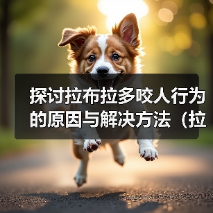 探讨拉布拉多咬人行为的原因与解决方法（拉布拉多咬人行为分析及正确引导方法）（图2）