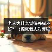 老人为什么觉得养猫不好？（探究老人对养猫的担忧和偏见）（图2）