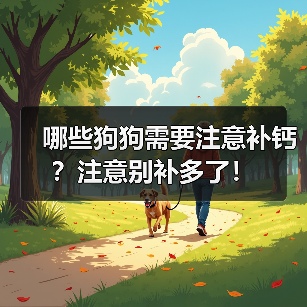 哪些狗狗需要注意补钙？注意别补多了！（图1）