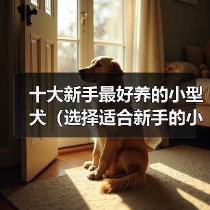 十大新手最好养的小型犬(选择适合新手的小型犬种,为您带来快乐的伴侣生活)(图2) 十大新手最好养的小型犬(选择适合新手的小型犬种,为您带来快乐的伴侣生活)(图2)