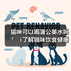 猫咪可以喝蒲公英水吗？（了解猫咪饮食健康的重要性）（图3）