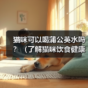 猫咪可以喝蒲公英水吗？（了解猫咪饮食健康的重要性）（图1）