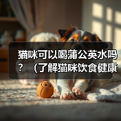 猫咪可以喝蒲公英水吗？（了解猫咪饮食健康的重要性）（图2）