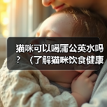 猫咪可以喝蒲公英水吗？（了解猫咪饮食健康的重要性）（图4）