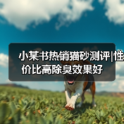 小某书热销猫砂测评|性价比高除臭效果好（图3）