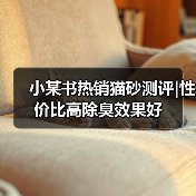 小某书热销猫砂测评|性价比高除臭效果好（图2）