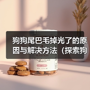 狗狗尾巴毛掉光了的原因与解决方法(探索狗狗尾巴毛掉光的成因以及有效解决方案)(图3) 狗狗尾巴毛掉光了的原因与解决方法(探索狗狗尾巴毛掉光的成因以及有效解决方案)(图3)