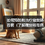 如何预防和治疗藏獒肠胃病(了解藏獒肠胃病的症状和治疗方法)(图1) 如何预防和治疗藏獒肠胃病(了解藏獒肠胃病的症状和治疗方法)(图1)
