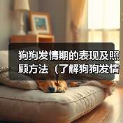 狗狗发情期的表现及照顾方法(了解狗狗发情期的信号和需要,让它度过这个特殊时期)(图1) 狗狗发情期的表现及照顾方法(了解狗狗发情期的信号和需要,让它度过这个特殊时期)(图1)