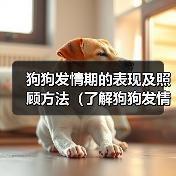 狗狗发情期的表现及照顾方法(了解狗狗发情期的信号和需要,让它度过这个特殊时期)(图3) 狗狗发情期的表现及照顾方法(了解狗狗发情期的信号和需要,让它度过这个特殊时期)(图3)