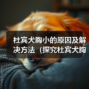 杜宾犬胸小的原因及解决方法（探究杜宾犬胸部发育不良的问题及有效改善方法）（图4）