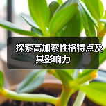 探索高加索性格特点及其影响力（图1）