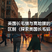英国长毛猫与高地猫的区别(探索英国长毛猫和高地猫的特征和个性)(图4) 英国长毛猫与高地猫的区别(探索英国长毛猫和高地猫的特征和个性)(图4)