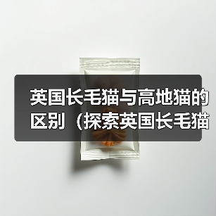 英国长毛猫与高地猫的区别(探索英国长毛猫和高地猫的特征和个性)(图3) 英国长毛猫与高地猫的区别(探索英国长毛猫和高地猫的特征和个性)(图3)