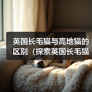 英国长毛猫与高地猫的区别(探索英国长毛猫和高地猫的特征和个性)(图2) 英国长毛猫与高地猫的区别(探索英国长毛猫和高地猫的特征和个性)(图2)