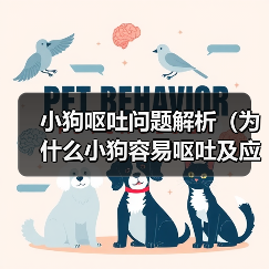 小狗呕吐问题解析(为什么小狗容易呕吐及应对方法)(图4) 小狗呕吐问题解析(为什么小狗容易呕吐及应对方法)(图4)