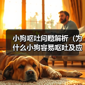 小狗呕吐问题解析(为什么小狗容易呕吐及应对方法)(图3) 小狗呕吐问题解析(为什么小狗容易呕吐及应对方法)(图3)