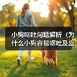 小狗呕吐问题解析(为什么小狗容易呕吐及应对方法)(图1) 小狗呕吐问题解析(为什么小狗容易呕吐及应对方法)(图1)
