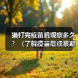 猫打完疫苗后观察多久？（了解疫苗后观察期，保护你的宠物健康）（图2）